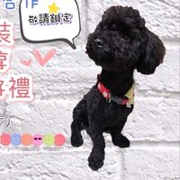 甜甜圈