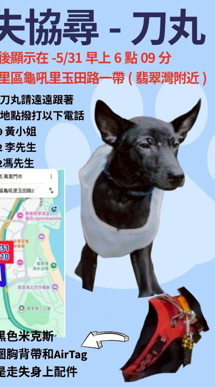 協尋刀丸（黑狗米克斯）