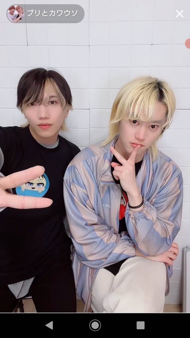 ブリとカワウソについてお話ししよ！