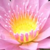 การปฏิบัติธรรมในชีวิตประจำวัน