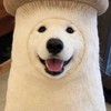 天真無邪的樂園