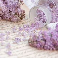 40代50代🪻メンタル疾患持ち女性のやすらぎ部屋🍀