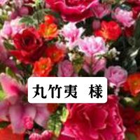 『期間限定』丸竹夷(京都ｶﾞｰﾙｽﾞﾊﾞﾝﾄﾞ)