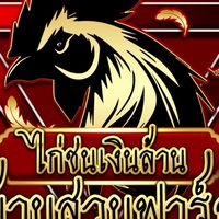 ไก่ชนเงินล้าน บ้านสวนฟาร์ม