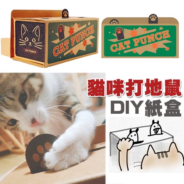 貓咪打地鼠 互動玩具，DIY組裝