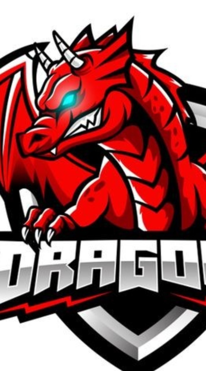 ☬™black dragon™☬