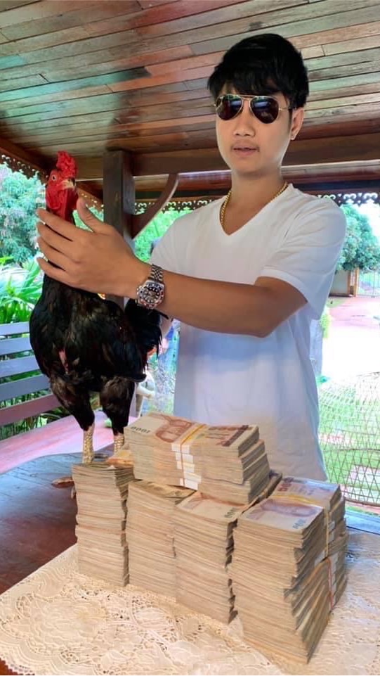 ป.เพชรน้อมเกล้า ฟาร์ม