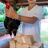 ป.เพชรน้อมเกล้า ฟาร์ม