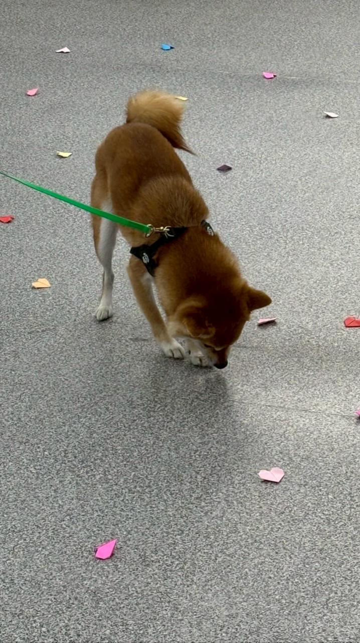 2026.2.11 Sniff&Go 鈴村浴槽