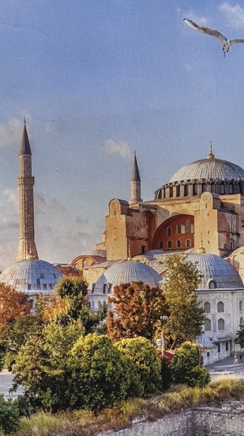 ピースボート127 乗船予定者の会　2027.8.13〜