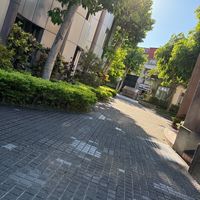 南山學生群（二代）