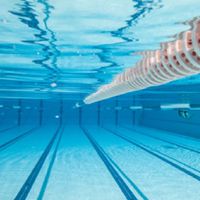 Phetchabun Swimming Association (Master)
