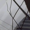 それでも生きてくの？ ＊ 全緩也 ＊ マフィア