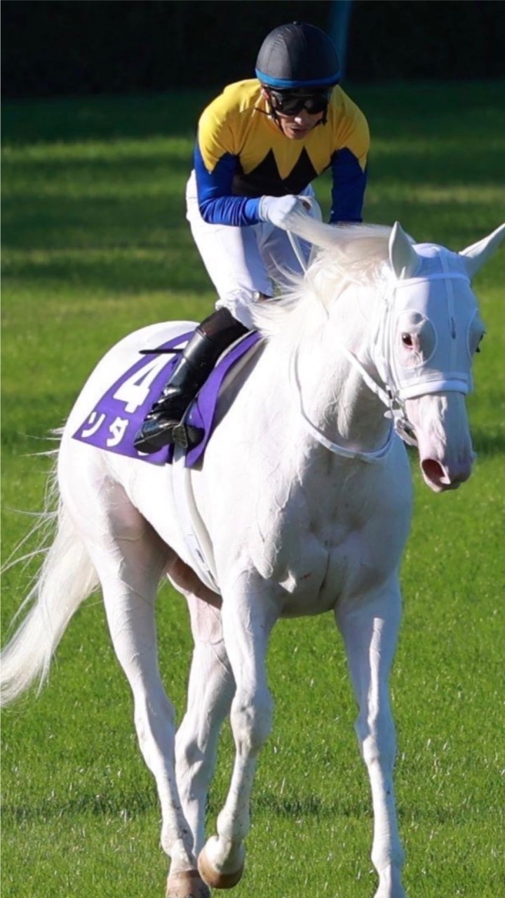 3/1 MIA競馬予想🏇🌸のオープンチャット