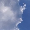 ちょす学園　～ちょすと愉快な仲間たち～