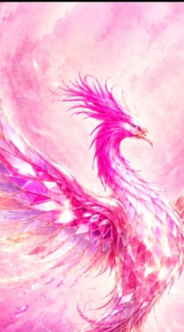 🐦‍🔥不死鳥伝説🐦‍🔥🌌めぐり逢えて良かった🌌50代60代💫雑談＆ライトク💫
