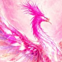 🐦‍🔥不死鳥伝説🐦‍🔥🌌めぐり逢えて良かった🌌50代60代💫雑談＆ライトク💫