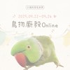 小湘的羽毛世界   🐥09/22 - 09/24 線上鳥物廝殺🐥