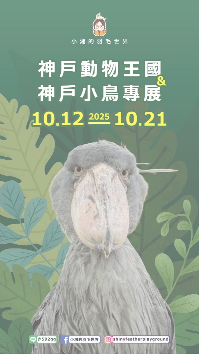 小湘的羽毛世界   🦉11月你們想要吃什麼🦉