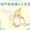 小湘的羽毛世界   🐥 09/09 - 09/17 神戶動物園我們來了 🐥