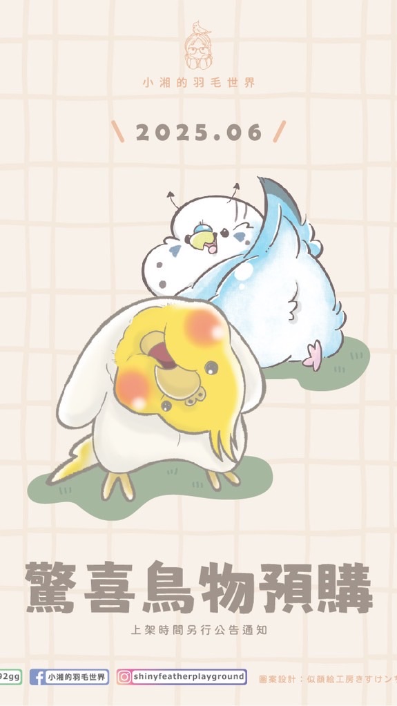 小湘的羽毛世界   🐥 六月僅有鳥物預購活動🐥