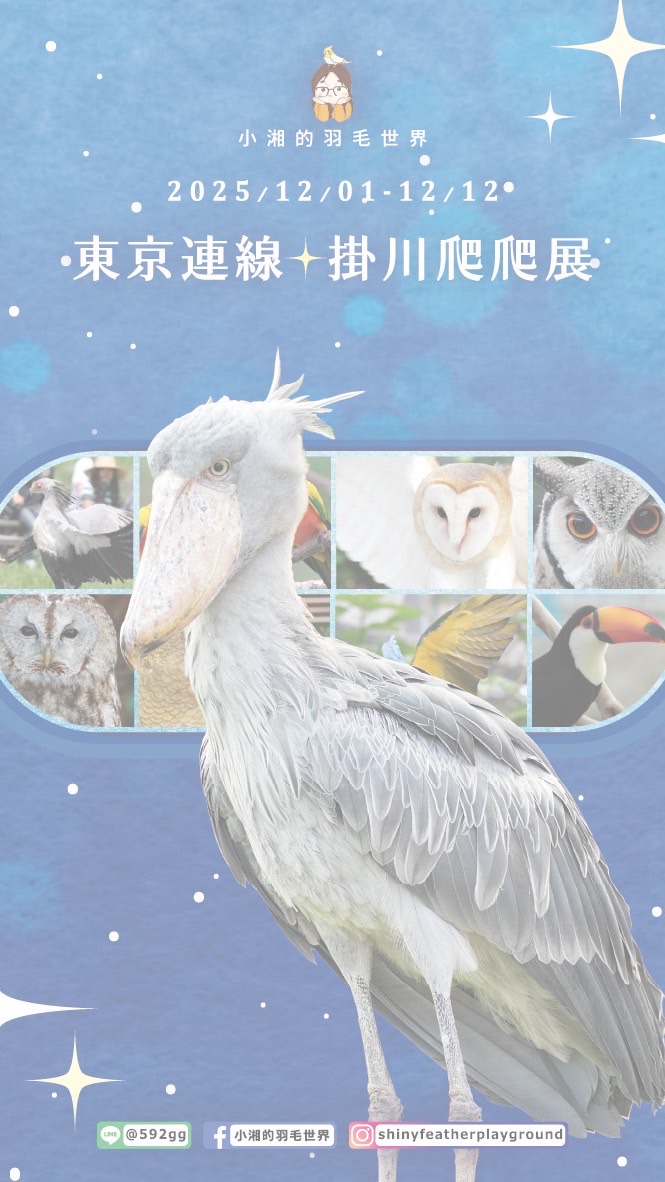 小湘的羽毛世界   🐣12/01 - 12/12 東京零食雜貨 &掛川爬爬展連線🐣