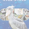 小湘的羽毛世界   🐣12/01 - 12/12 東京零食雜貨 &掛川爬爬展連線🐣