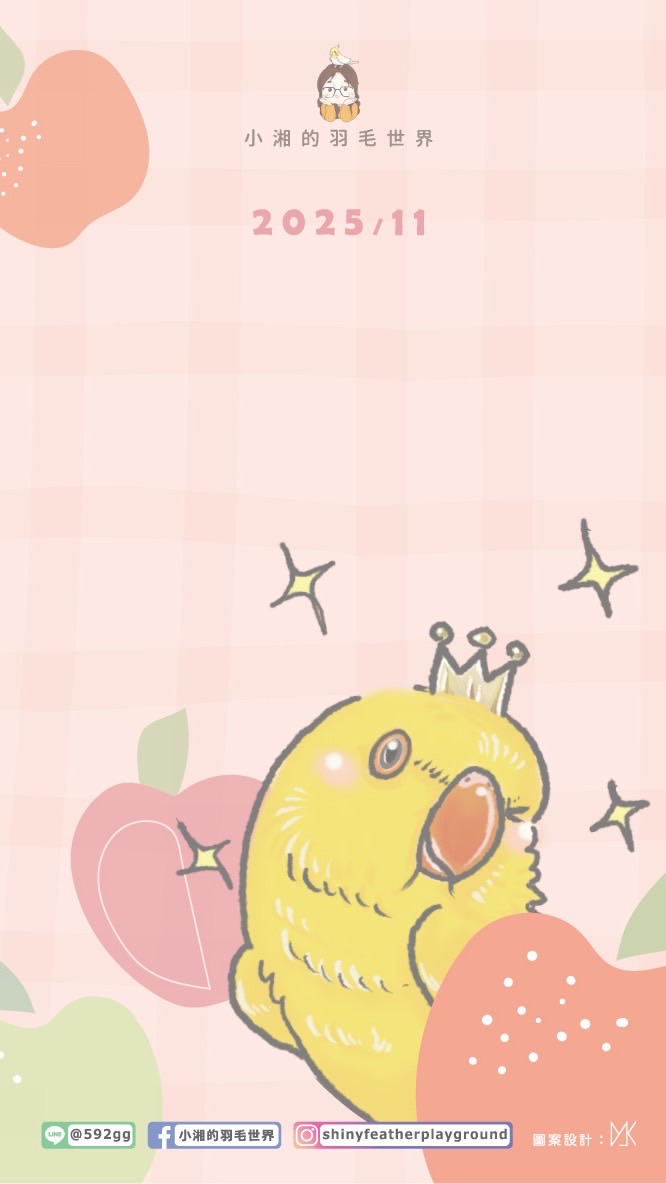 小湘的羽毛世界   🦉11月你們想要吃什麼🦉