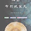 小湘的羽毛世界   🐥 05/20-27 日本連線，直接去布引燒的家拜訪🐥