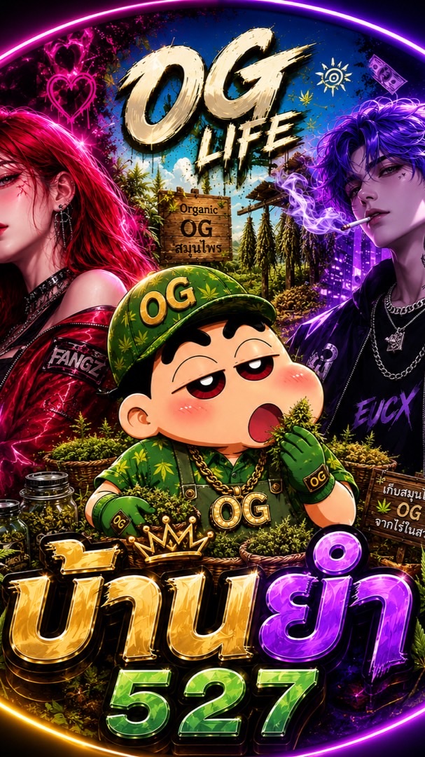 บ้านยํา529📌