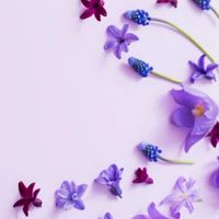 GoDream 美業交流群