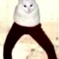 กลุ่มอะไรไม่รู้มีเอาไว้เล่นเกม/โรลเพลย์/คุยเล่น/ต่างๆ