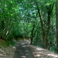 🍀みんなのoasis🍀