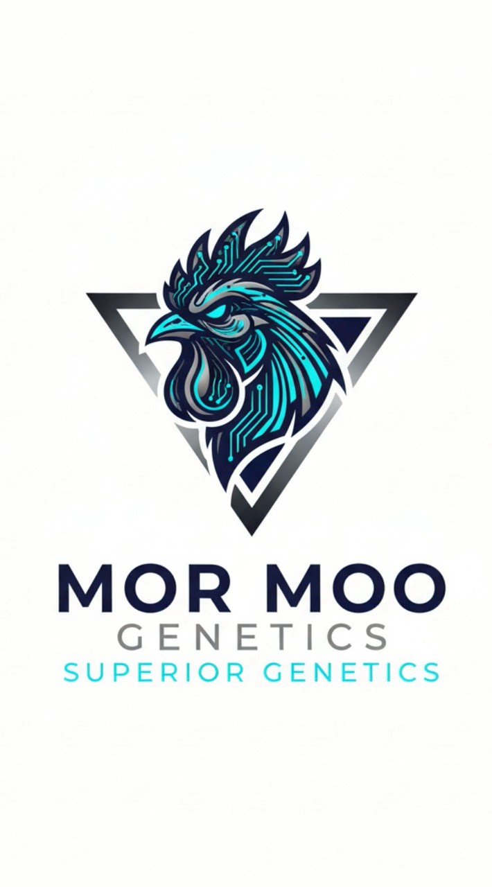 MOR MOO TEAM ✔️