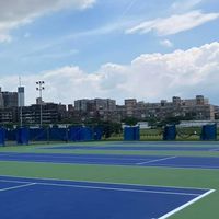 上班日彩虹網球場🎾的閒人們