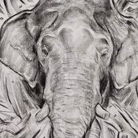 🐘ช้าง กะ 🏞ป่า..?