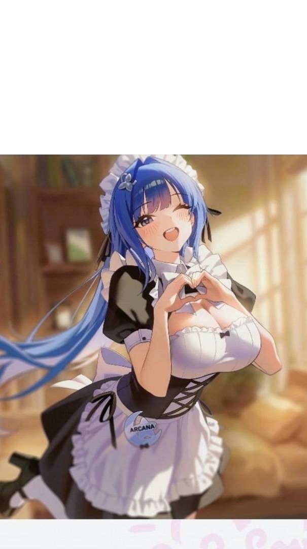 雙姬女僕年代記