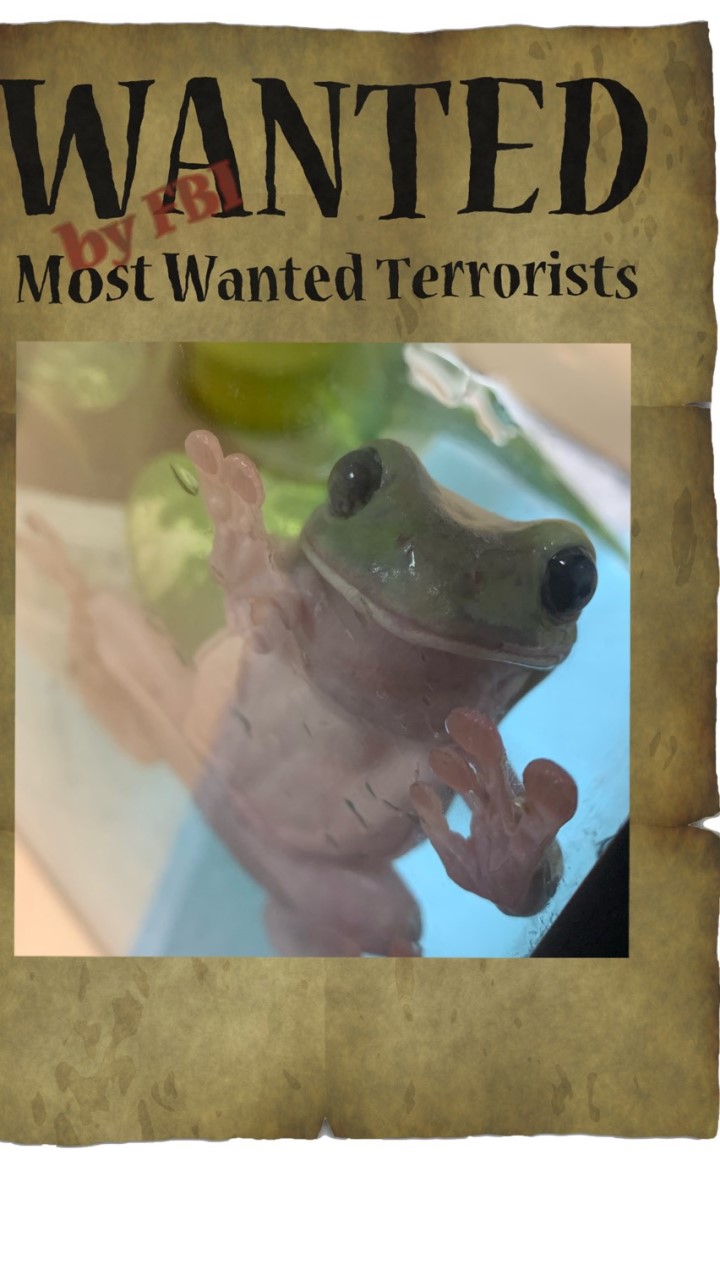 カエル飼育者の会🐸