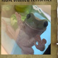 カエル飼育者の会🐸