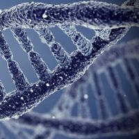 陳明莉精準健康管理師團購好物與永續二手商品交易所