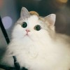 110東海生科新生群