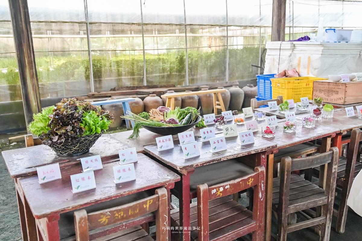 體驗全台唯一「海牛採蚵」！彰化芳苑１日遊必訪６亮點，海鮮控爽吃烤蚵大餐