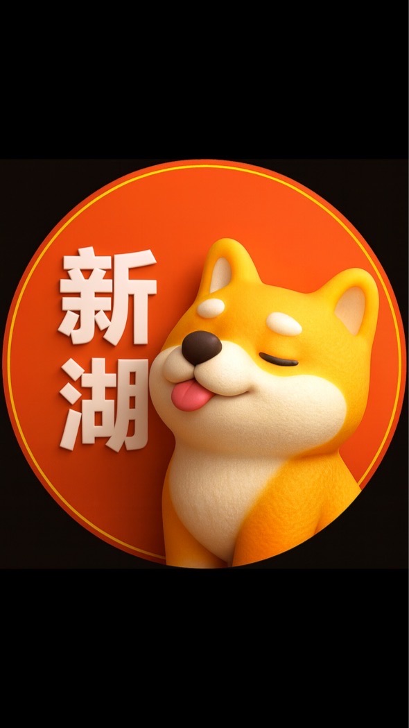 新豐湖口🟧歐巴柴竹縣
