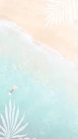 カピバラGo今日の晩御飯