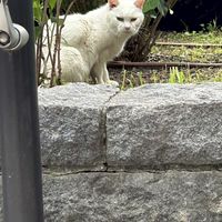 お絵描きの集いッッ！初心者も大☆歓☆迎☆