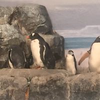 愛知の独身中高年、食いしん坊部屋
