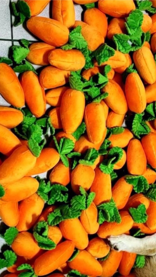 蘿蔔村🥕Q A