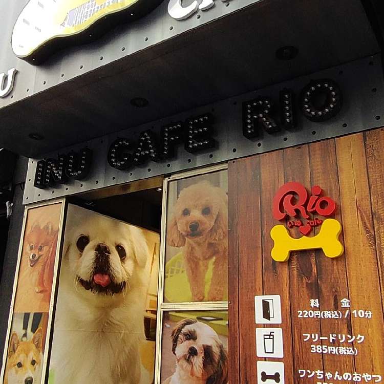 ユーザーの口コミ 犬カフェ Rio 新宿店 イヌカフェ リオ シンジュクテン 歌舞伎町 新宿駅 カフェ By Line Place