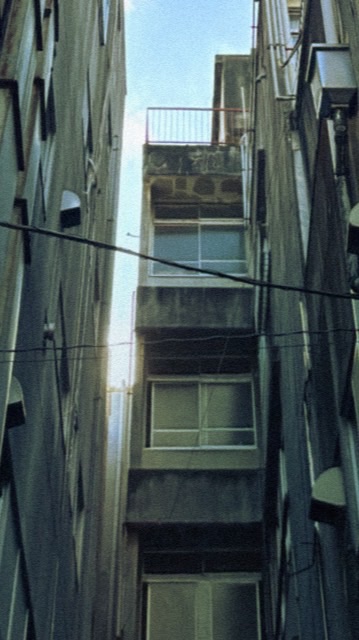 共犯