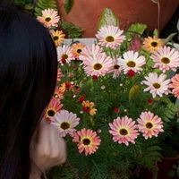 女生們的健心室💫